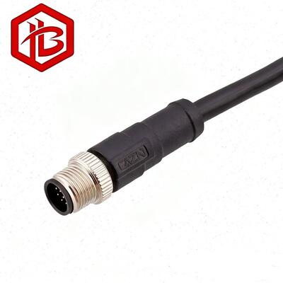M12 Metal Plug IP68 Rated Copper Contact 2A 8-Pin Canbus Cable Overmolding Connector for Solar Power System